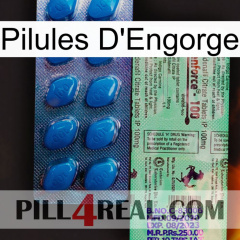 Engorge Pills new02